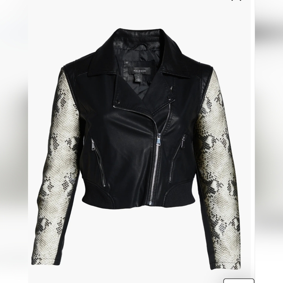 Halogen NWTs Faux Leather Moto Jacket - Picture 5 of 11